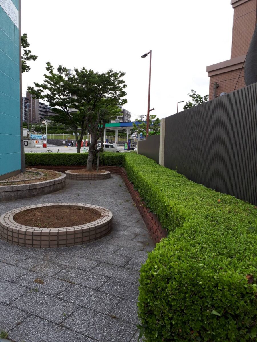 西区愛宕浜 Mタウンの庭木の剪定、植栽・移植を行いました。