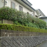 宗像市天平台 H様邸の庭木の剪定を行いました。