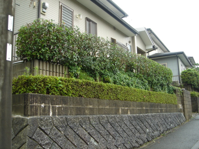 宗像市天平台 H様邸の庭木の剪定を行いました。