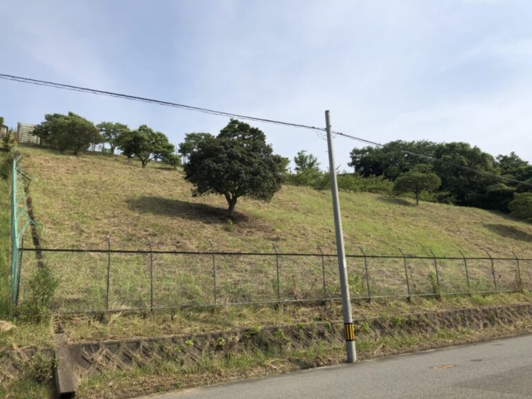 宇美町宇美 N社様の庭木の剪定、草刈・草取・芝刈を行いました。
