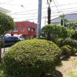 早良区田隈 Ｔ様邸の庭木の剪定、庭木の消毒を行いました。