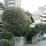福岡市中央区六本松 T様邸の庭木の剪定を行いました。