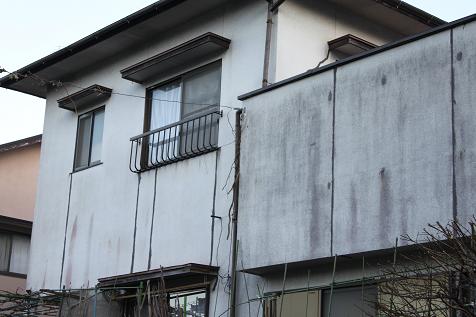 粕屋郡宇美町 U様邸の庭木の剪定、庭木の消毒を行いました。