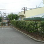 大野城市若草 テナントの庭木の剪定を行いました。