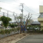 大野城市若草 テナントの庭木の剪定を行いました。