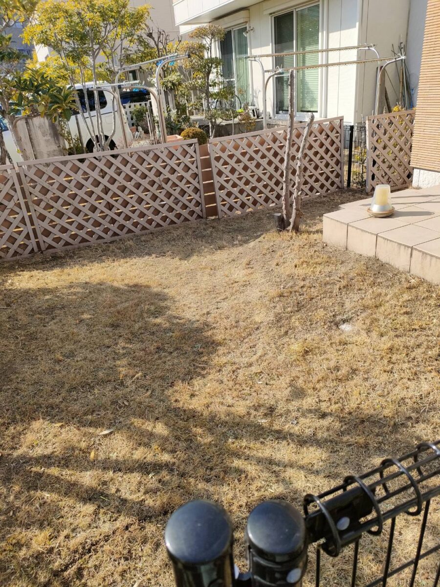 福岡市東区Y様邸の庭木の剪定、草刈・草取・芝刈、冬の剪定を行いました。