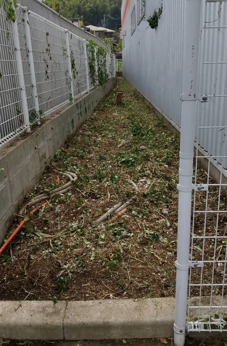 熊本市の店舗の草刈・草取を行いました。