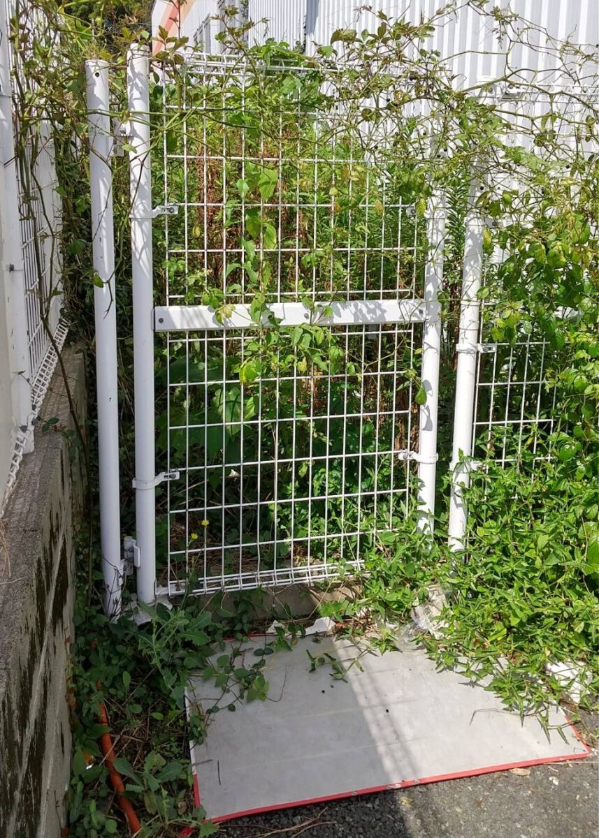 熊本市の店舗の草刈・草取を行いました。