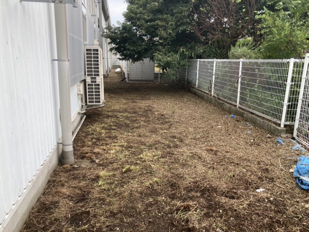 熊本市の店舗の草刈・草取を行いました。